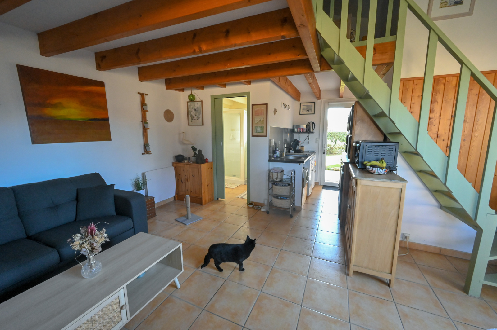 Image_, Maison, Arès, ref :3076